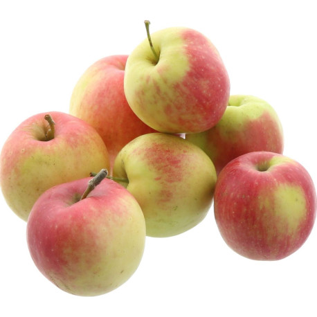 POMME JONAGOLD 10KG